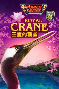 Power Prizes – Royal Crane